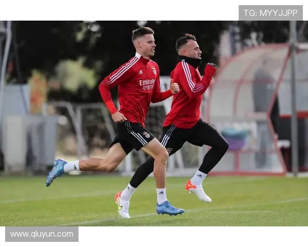 波普：状态良好与佳夫合作愉快 全力备战欧冠对本菲卡